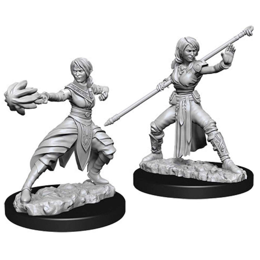 D&D Nolzurs Marvelous Unpainted Miniatures Female Half Elf Monk - Miniatures