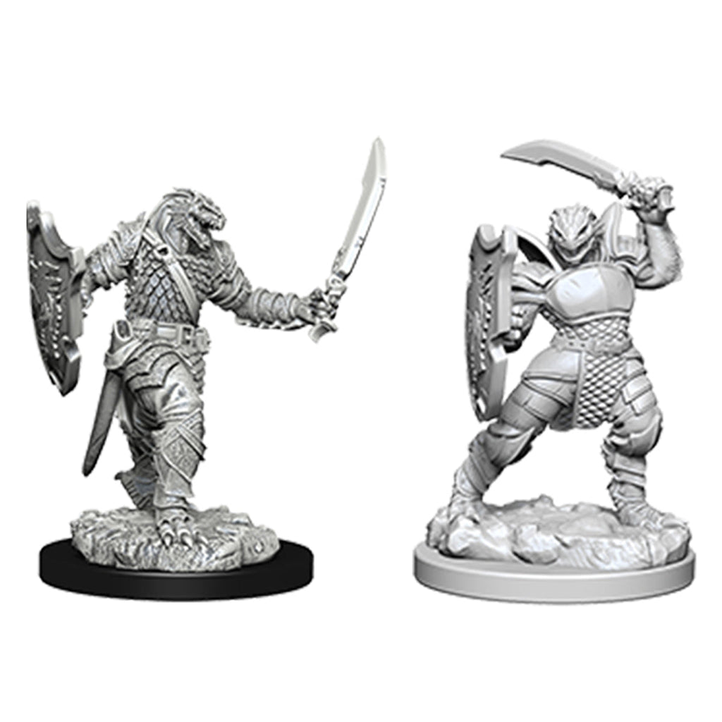 D&D Nolzurs Marvelous Unpainted Miniatures Dragonborn Female Paladin - Miniatures