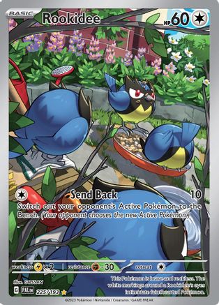Rookidee - 225/193 (225) [SV02] Pokemon SV02: Paldea Evolved - Single Cards