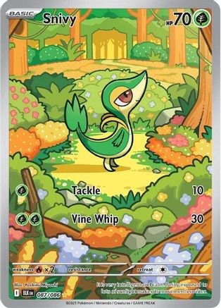 Snivy - 087/086 87 - SV Black Bolt Holofoil - Single Cards
