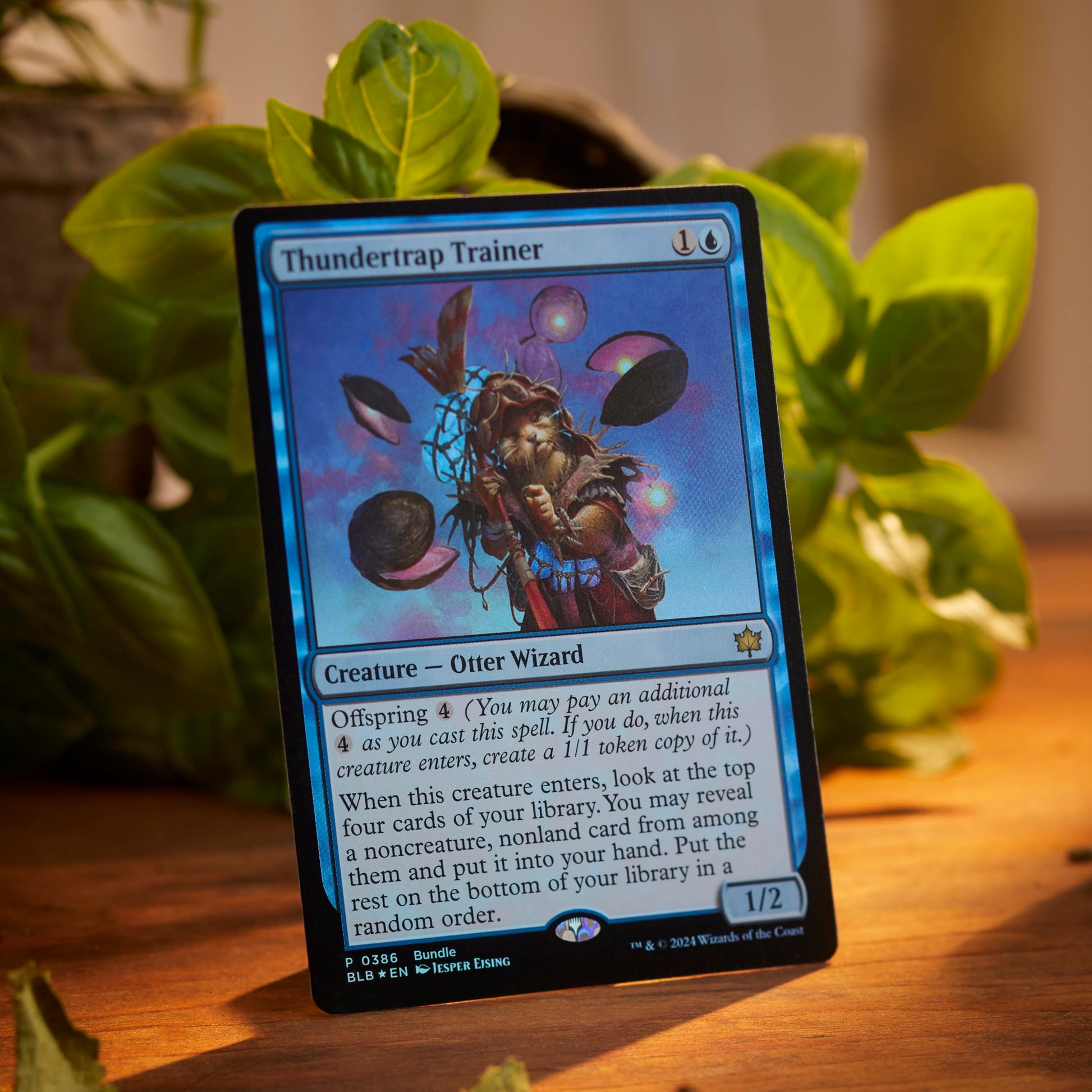 Magic: The Gathering Bloomburrow Bundle - 9 Play Boosters, 30 Land Cards + Exclusive Accessories - 4