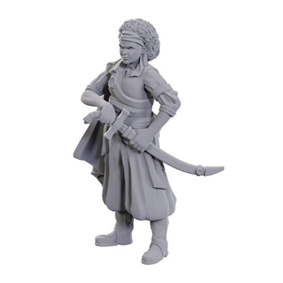 D&D Nolzur's Marvelous Miniatures: Ansalon Human Rogue - Miniatures