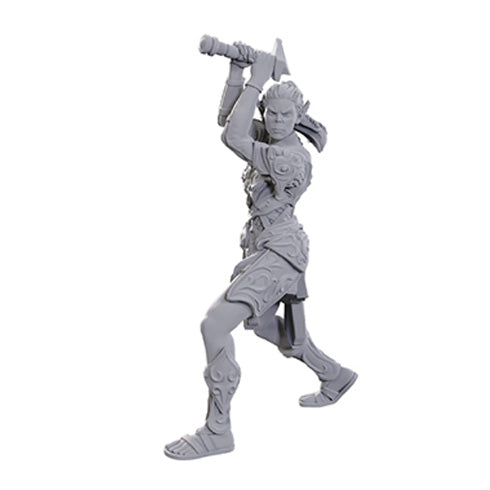 D&D Nolzur's Marvelous Miniatures: Special Edition - Baldur's Gate 3: Lae'zel & Shadowheart - Miniatures - 3