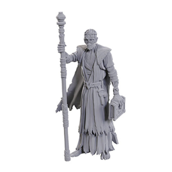 D&D Nolzur's Marvelous Miniatures: Special Edition - Baldur's Gate 3: Volo & Withers - Miniatures - 3