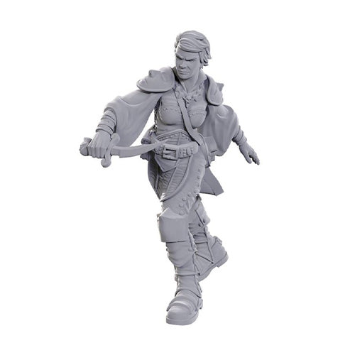 D&D Nolzur's Marvelous Miniatures: Swashbuckler - Miniatures