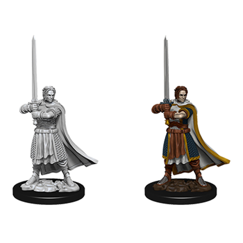 D&D Nolzurs Marvelous Unpainted Miniatures Male Human Cleric - Miniatures - 2