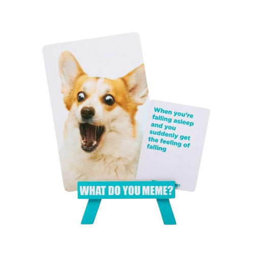 What Do You Meme? Family Edition Refresh - Board Games - 5