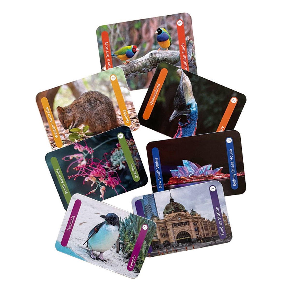 Travel Bug (Australian Edition) - Board Games - 4