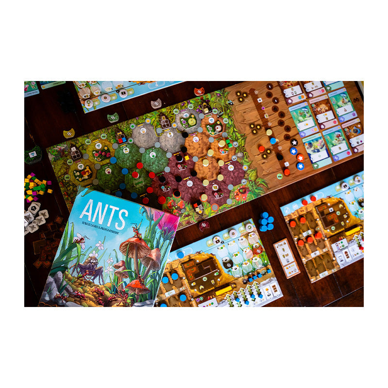 Ants - Board Games - 5