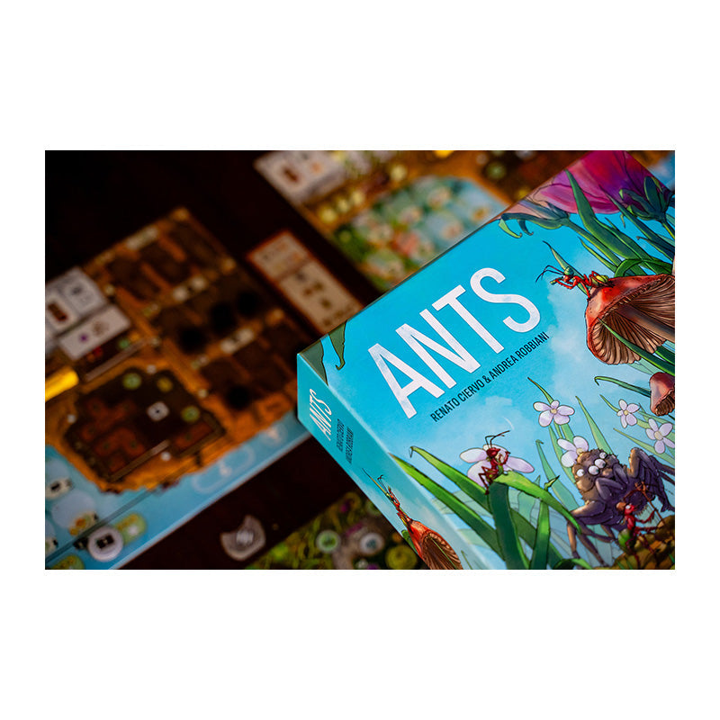 Ants - Board Games - 8