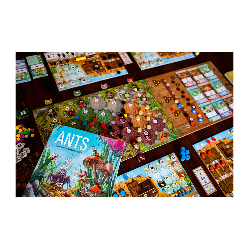 Ants - Board Games - 4