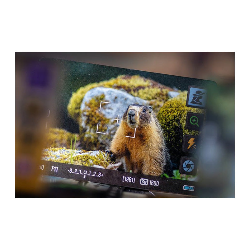 Behind the Lens: Photographing Earth - Board Games - 5
