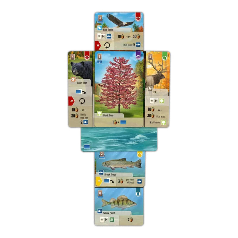 Forest Shuffle Smoky Mountains - Board Games - 3